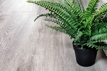 Кварцвиниловая плитка Alpine Floor Classic Ясень Серый ECO 134-5